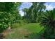 Large, grassy backyard surrounded by lush trees and greenery offers privacy and space at 460 W Palm Valley Dr, Oviedo, FL 32765