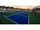 Outdoor pickleball courts perfect for recreational games and friendly competition at 1438 Ridgeback Ln, Apopka, FL 32703