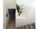Staircase with decorative plant at 14955 Lebeau Loop, Winter Garden, FL 34787