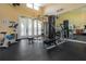Well-equipped gym with modern exercise machines and ample natural light from French doors at 1638 Whitney Isles Dr, Windermere, FL 34786
