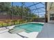 A screened pool with attached spa overlooks a private backyard enclosed by green hedges and a brick wall at 1638 Whitney Isles Dr, Windermere, FL 34786