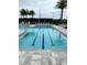 Outdoor lap pool with dividing rope featuring palm trees and modern design at 1664 Crowncrest Dr, Apopka, FL 32703