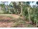 View of green lush backyard and ample privacy at 205 Elaine Pl, Chuluota, FL 32766