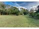 Large grassy backyard with mature trees, green outbuildings, and a bright, sunny sky at 205 Elaine Pl, Chuluota, FL 32766