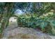 Landscaped backyard featuring mature trees and plants, providing a private, serene outdoor living space at 205 Elaine Pl, Chuluota, FL 32766
