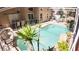 Backyard pool features a screened enclosure, landscaping, and an outdoor seating area at 2343 Walnut Heights Rd, Apopka, FL 32703