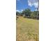 Large backyard enclosed by a wooden fence, providing privacy and a safe area for recreation and gardening at 331 N Dollins Ave, Orlando, FL 32805