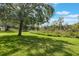 Expansive lush backyard with mature shade tree extending to the natural wilderness at 5560 Squires Dr, Leesburg, FL 34748