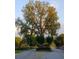 Beautiful mature tree in a manicured island in the center of a quiet neighborhood street at 983 Bucksaw Pl, Longwood, FL 32750