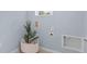 Light blue wall with decorative plant, outlets, and a vent at 3665 Marlberry Way, Sanford, FL 32773