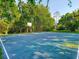 Outdoor basketball court surrounded by lush trees at 103 Red Cedar Dr, Longwood, FL 32779