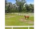 Horse grazing in the pasture with a white fence, surrounded by lush trees at 103 Red Cedar Dr, Longwood, FL 32779