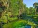 Tranquil pond with crystal clear water and lush, verdant plant life, surrounded by picturesque, mature trees at 103 Red Cedar Dr, Longwood, FL 32779