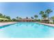 Community pool with a lounge area, palm trees, and manicured landscaping for a resort-style living experience at 1902 Hailsham Ct, Orlando, FL 32824