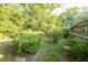 Lush backyard with mature landscaping, including shrubs, ferns, and trees, offering a private outdoor retreat at 2361 Kimberly Dr, Deltona, FL 32738