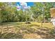 Expansive backyard with mature trees and lush greenery, offering ample space and privacy at 2409 Garbelia Ave, Orlando, FL 32817
