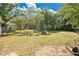 Generous backyard with mature trees and a well-maintained lawn, great for outdoor activities at 2409 Garbelia Ave, Orlando, FL 32817
