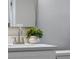 Close-up on bathroom vanity with neutral colors, modern faucet, and decorative plants at 614 Plum Ln, Altamonte Springs, FL 32701