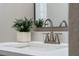 Bright bathroom vanity featuring a faucet and decorative plant, complementing the minimalist design at 614 Plum Ln, Altamonte Springs, FL 32701