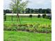 Well maintained common area with green space, black fencing, newly planted tree and shrubbery at 734 Ginger Dr, Haines City, FL 33844