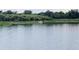 Lake view with natural flora and fauna at 850 Lazio Cir, Debary, FL 32713