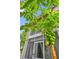Exterior view of a building with a papaya tree obscuring the view, emphasizing the tropical landscaping at 935 Northern Dancer Way # 107, Casselberry, FL 32707