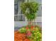Well-kept landscaping highlights this building, with a mature bush trimmed to a rounded shape and brightly colored flower bed at 935 Northern Dancer Way # 107, Casselberry, FL 32707