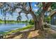 Enjoy a serene lake view with mature trees and a clear blue sky at 11 Plumosa Ave, Casselberry, FL 32707