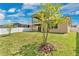 Wide shot of grassy backyard with young ornamental tree and white fence at 14078 Alafaya Oak Bnd, Orlando, FL 32828