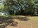Large backyard with mature trees offering shade, great for outdoor activities and relaxation at 1523 S Mellonville Ave, Sanford, FL 32771