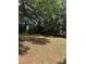 Expansive backyard featuring mature trees, ideal for recreation and enjoying the outdoors at 1523 S Mellonville Ave, Sanford, FL 32771
