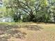 Expansive front yard with mature trees, offering shade and a natural landscape around the home at 1523 S Mellonville Ave, Sanford, FL 32771