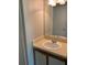 Bathroom sink and mirror with a light above the mirror next to a door at 238 Afton Sq # 106, Altamonte Springs, FL 32714