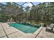 Screened-in pool and patio area with lush landscaping, offering a private outdoor retreat at 5683 Bassett Pl, Sanford, FL 32771