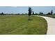 Vast green space with a tree-lined walking path perfect for enjoying the outdoors and staying active at 816 Carmillion Ct, Groveland, FL 34736
