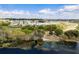 Scenic lake view of trees by the water at 816 Carmillion Ct, Groveland, FL 34736