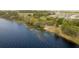 Beautiful lake view with lush trees nearby at 816 Carmillion Ct, Groveland, FL 34736