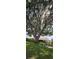 Expansive backyard view with mature oak tree overlooking the home and patio seating at 11818 Sophia Ln, Orlando, FL 32821