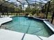 Beautiful pool with tropical landscaping, a great spot for relaxing and entertaining Gathering and friends at 2659 Hibbard Trl, Chuluota, FL 32766
