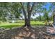 The backyard features a large tree and a lovely view of the pond at 283 Woodgreen Ln, Winter Springs, FL 32708