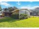 Green backyard featuring healthy lawn and mature hedges for additional privacy at 3118 Walnut St, Winter Haven, FL 33881