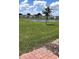 Beautiful townhomes overlooking a pond, complemented by lush green grass and a serene, picturesque setting at 2450 Sweet Viburnum Way, Ocoee, FL 34761