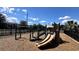 Community playground area with a slide and climbing structure at 2450 Sweet Viburnum Way, Ocoee, FL 34761