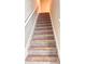 Carpeted staircase with white railing leading to the upper level, bathed in natural light at 2450 Sweet Viburnum Way, Ocoee, FL 34761
