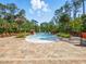 Community pool with lounge chairs, sun umbrellas, and surrounded by beautiful foliage at 8215 Roseville Blvd, Davenport, FL 33896