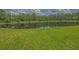 Pond view surrounded by green grass in a beautiful outdoor space at 12020 Philbrook Ct, Orlando, FL 32825