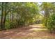 View of the wooded lot behind the property, showcasing tall trees, foliage, and fence at 149 E Plantation Blvd, Lake Mary, FL 32746
