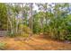 Backyard view of the wooded lot behind the property, showcasing tall trees and foliage at 149 E Plantation Blvd, Lake Mary, FL 32746