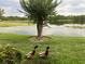 Tranquil backyard view of pond with ducks swimming amongst the lily pads at 155 N Pearl Lake Cswy # 104, Altamonte Springs, FL 32714