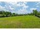Lush green backyard featuring a large open field, perfect for outdoor activities and recreation at 17524 Seidner Rd, Winter Garden, FL 34787